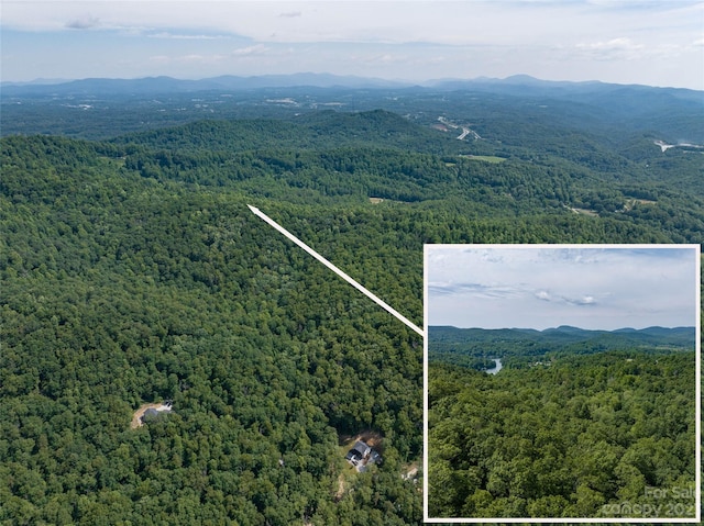 9999 Cripple Creek Trl, Zirconia NC, 28790 land for sale