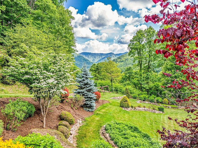 202 Emerald Ln, Maggie Valley, NC 28751 - view of mountain backdrop