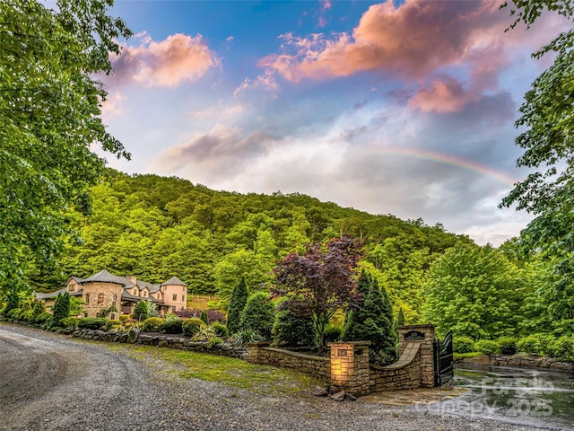 202 Emerald Ln, Maggie Valley, NC 28751 - view of mountain background with a forest