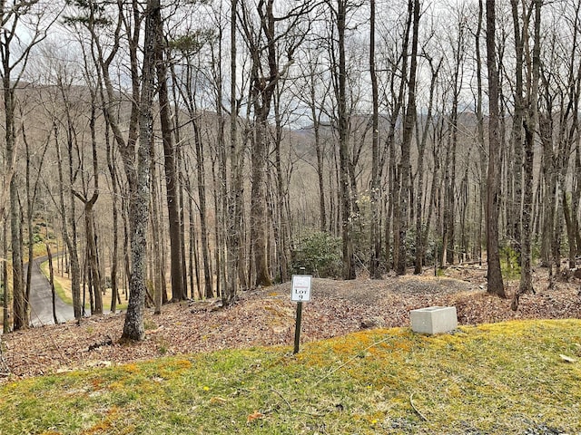 Listing photo 3 for LOT9 Sunset Ridge Dr Unit 9, Boone NC 28605