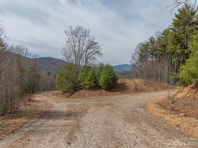 Listing photo 3 for LOT9 Dream Valley Dr, Clyde NC 28721