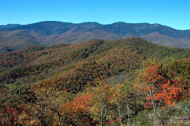 view of mountain view