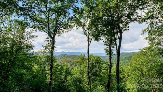 427 Quarry Rd Unit 22, Lake Toxaway NC, 28747 land for sale