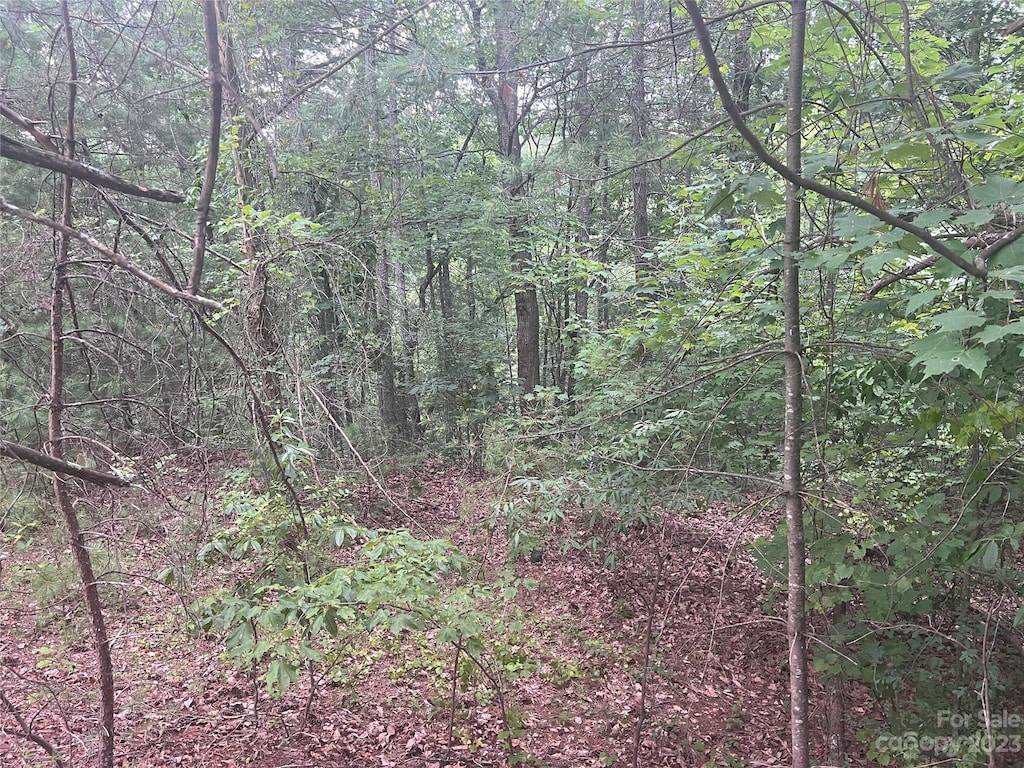 0 Blue Ridge Blvd, Morganton, NC 28655
