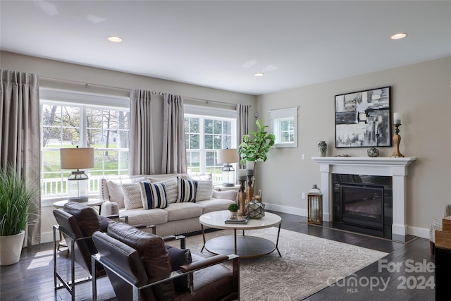 living room with dark wood-type flooring