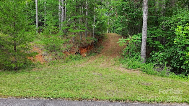 0 Sunset Dr Unit 12, Mill Spring, NC 28756 - photo 1