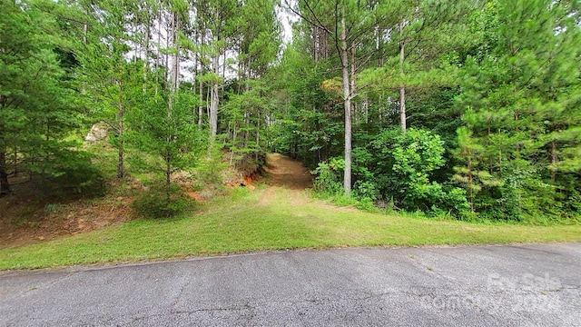 0 Sunset Dr Unit 12, Mill Spring, NC 28756 - photo 2