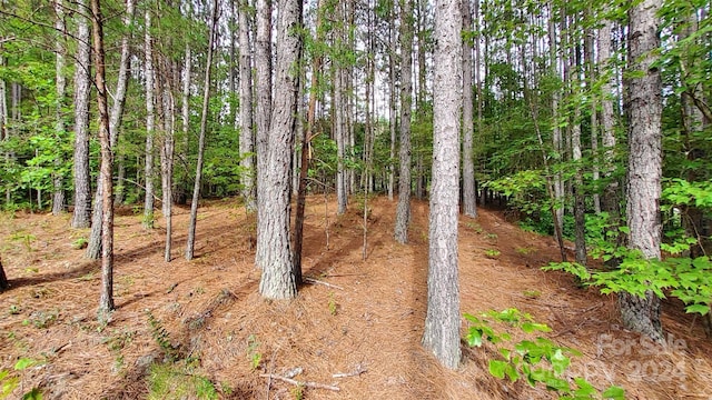 0 Sunset Dr Unit 12, Mill Spring, NC 28756 - photo 7