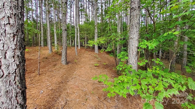 0 Sunset Dr Unit 12, Mill Spring, NC 28756 - photo 8