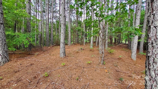 0 Sunset Dr Unit 12, Mill Spring, NC 28756 - photo 9