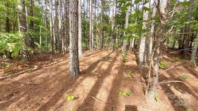 0 Sunset Dr Unit 12, Mill Spring, NC 28756 - photo 10