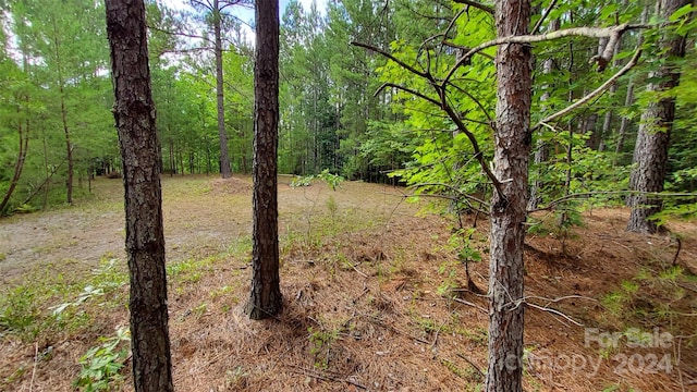 0 Sunset Dr Unit 12, Mill Spring, NC 28756 - photo 11