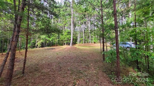 0 Sunset Dr Unit 12, Mill Spring, NC 28756 - photo 13