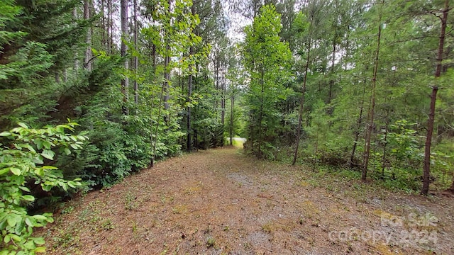 0 Sunset Dr Unit 12, Mill Spring, NC 28756 - photo 14