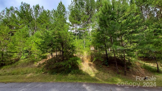 0 Sunset Dr Unit 12, Mill Spring, NC 28756 - photo 15