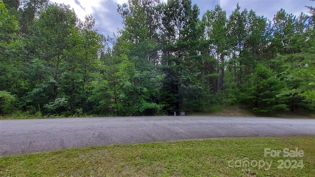 0 Sunset Dr Unit 12, Mill Spring, NC 28756 - photo 16