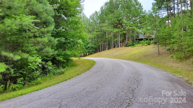 0 Sunset Dr Unit 12, Mill Spring, NC 28756 - photo 17