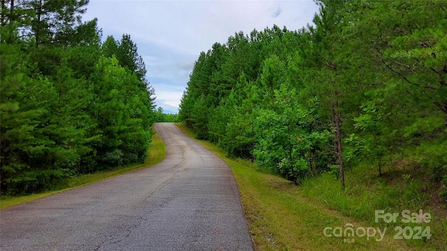 0 Sunset Dr Unit 12, Mill Spring, NC 28756 - photo 18
