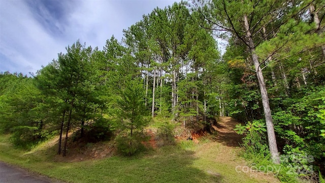 0 Sunset Dr Unit 12, Mill Spring, NC 28756 - photo 19