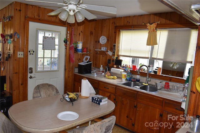 kitchen with wooden walls, sink, and ceiling fan