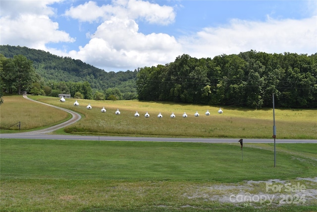 view of home's community featuring a yard