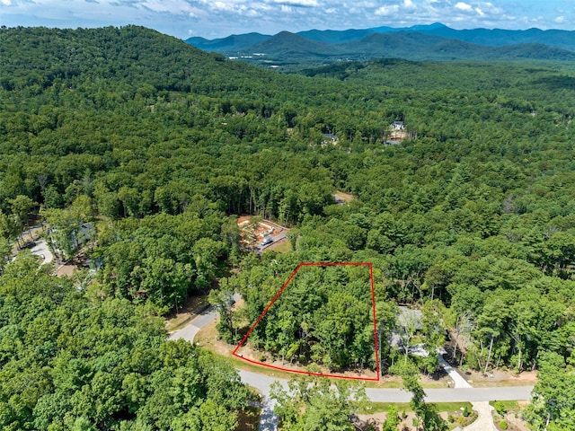 58 Emerald Necklace Dr Unit 424, Asheville NC, 28803 land for sale