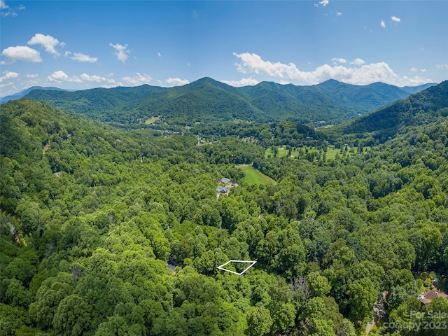 Listing photo 2 for 00 Havenwood Dr Unit C21, Maggie Valley NC 28751