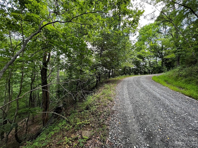 Listing photo 2 for 0 Bills Creek Rd, Lake Lure NC 28746