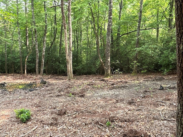 55 Locust Ct, Pisgah Forest, NC 28768
