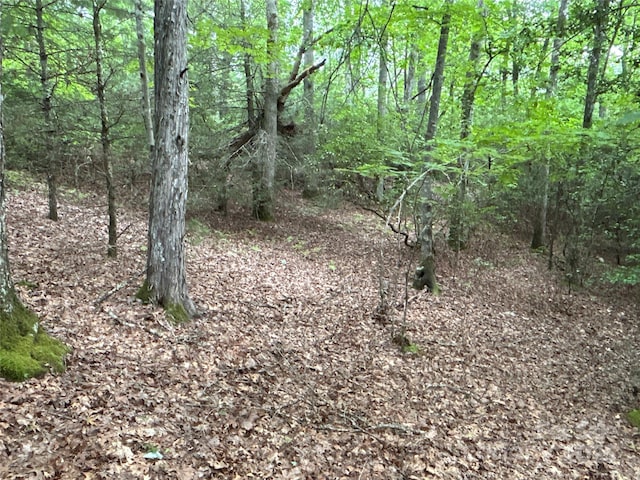 55 Locust Ct, Pisgah Forest, NC 28768