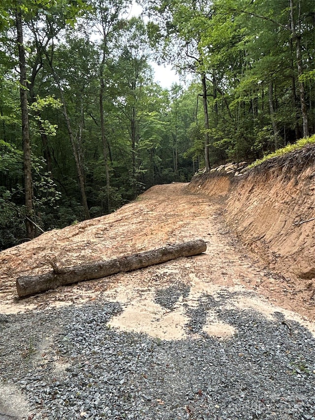 55 Locust Ct, Pisgah Forest, NC 28768