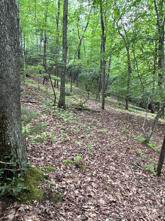 55 Locust Ct, Pisgah Forest, NC 28768