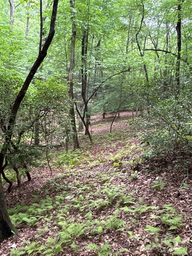55 Locust Ct, Pisgah Forest, NC 28768
