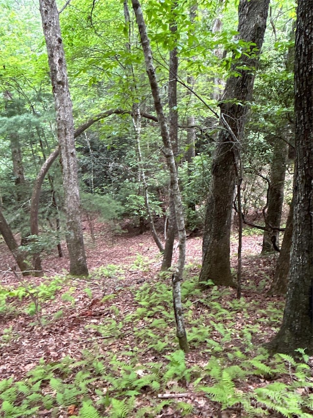 55 Locust Ct, Pisgah Forest, NC 28768