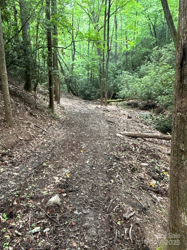 55 Locust Ct, Pisgah Forest, NC 28768