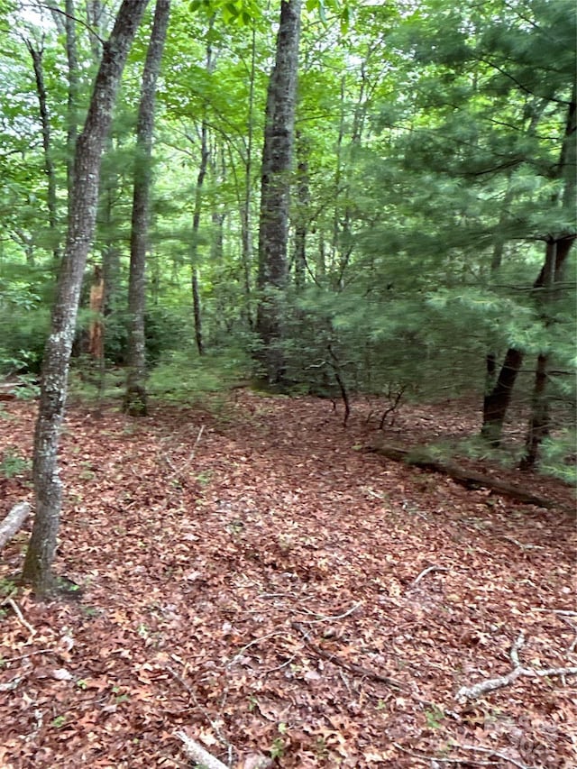55 Locust Ct, Pisgah Forest, NC 28768