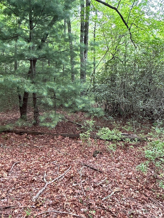 55 Locust Ct, Pisgah Forest, NC 28768 - photo 11