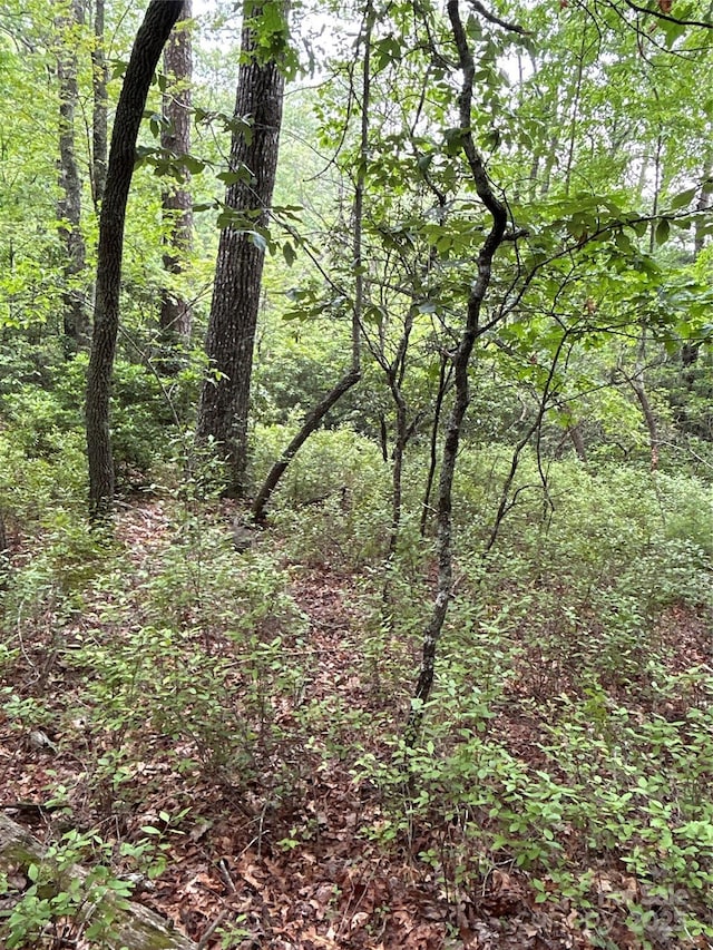 55 Locust Ct, Pisgah Forest, NC 28768 - photo 12