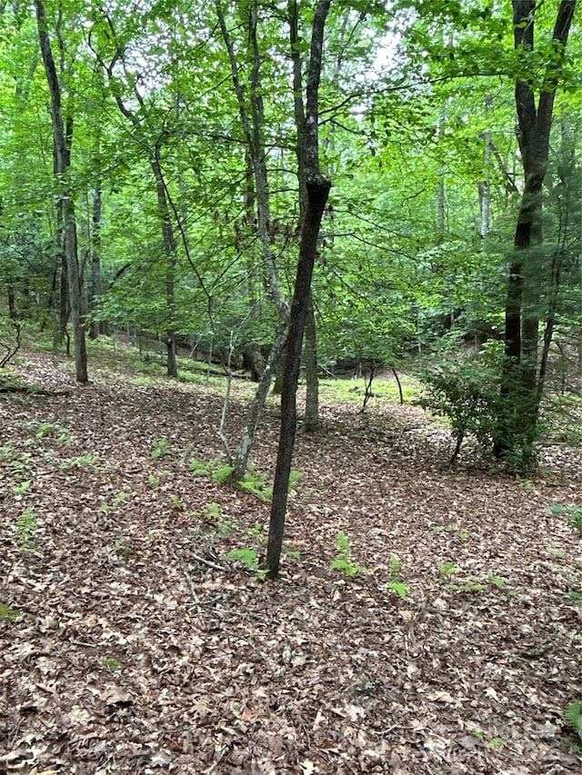 55 Locust Ct, Pisgah Forest, NC 28768 - photo 14