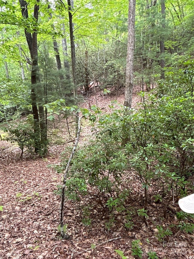 55 Locust Ct, Pisgah Forest, NC 28768 - photo 15