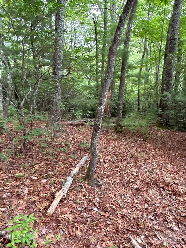55 Locust Ct, Pisgah Forest, NC 28768 - photo 20