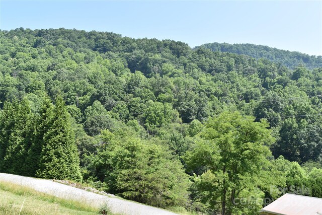 99999 Spring Valley Dr Unit 45, Waynesville, NC 28786 - photo 2