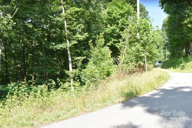 99999 Spring Valley Dr Unit 45, Waynesville, NC 28786 - photo 3