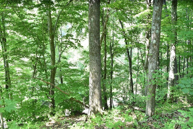 99999 Spring Valley Dr Unit 45, Waynesville, NC 28786 - photo 4