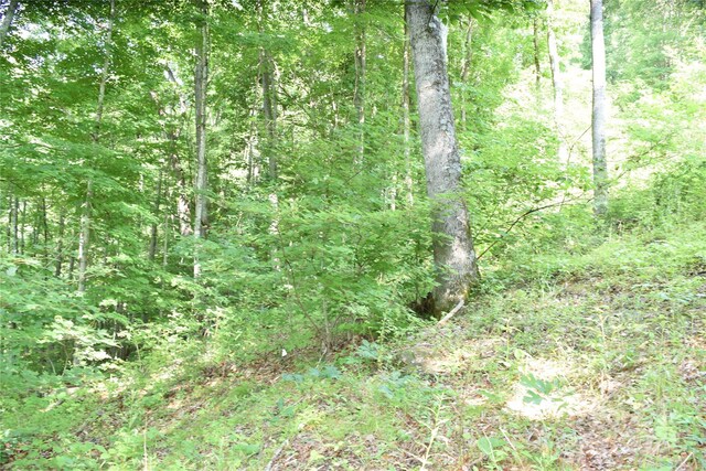 99999 Spring Valley Dr Unit 45, Waynesville, NC 28786 - photo 6