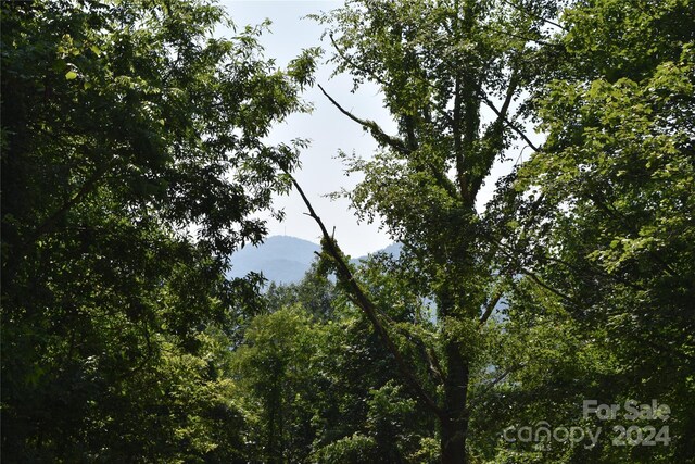99999 Spring Valley Dr Unit 45, Waynesville, NC 28786 - photo 9
