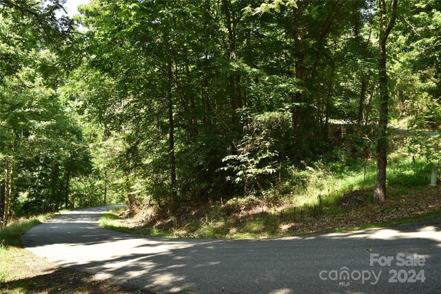 99999 Spring Valley Dr Unit 45, Waynesville, NC 28786 - photo 12