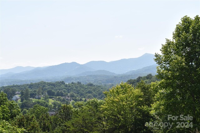 99999 Spring Valley Dr Unit 45, Waynesville, NC 28786 - photo 14