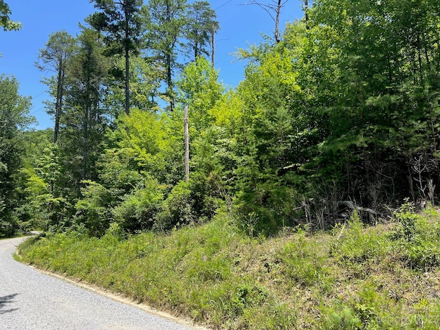 LOT24 Round Mountain Rd Unit 24, Brevard NC, 28712 land for sale