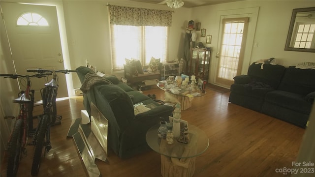 living room with dark hardwood / wood-style flooring